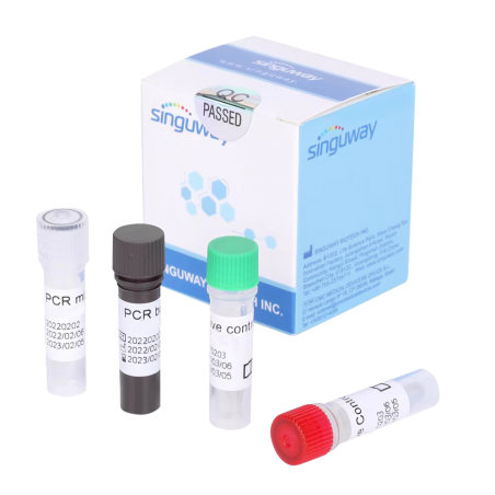 HIV PCR Reagent